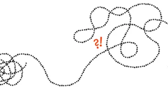 Design and government illustration by Misa Yamamoto.